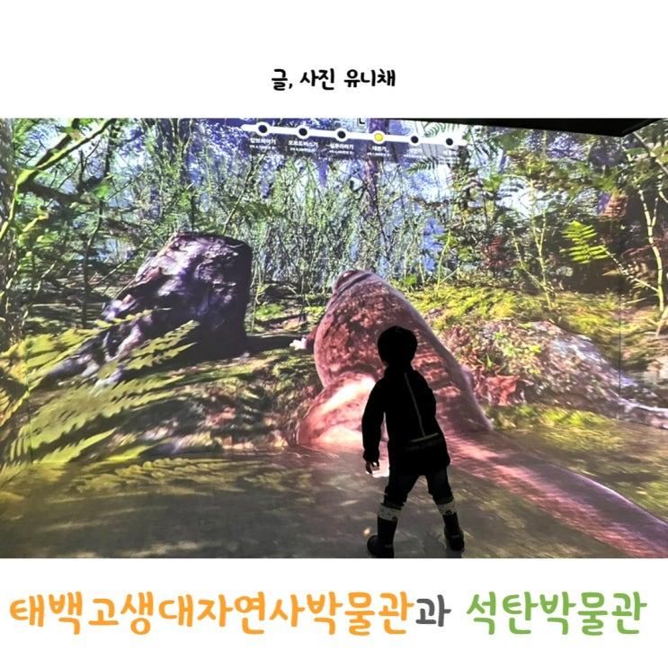 태백여행 석탄박물관과 태백고생대자연사박물관 꼭 들러보세요
