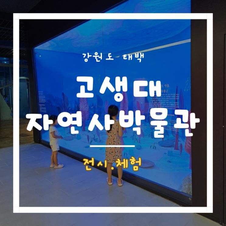 아이와 가볼 만한 곳 - 강원도 태백 고생대자연사박물관