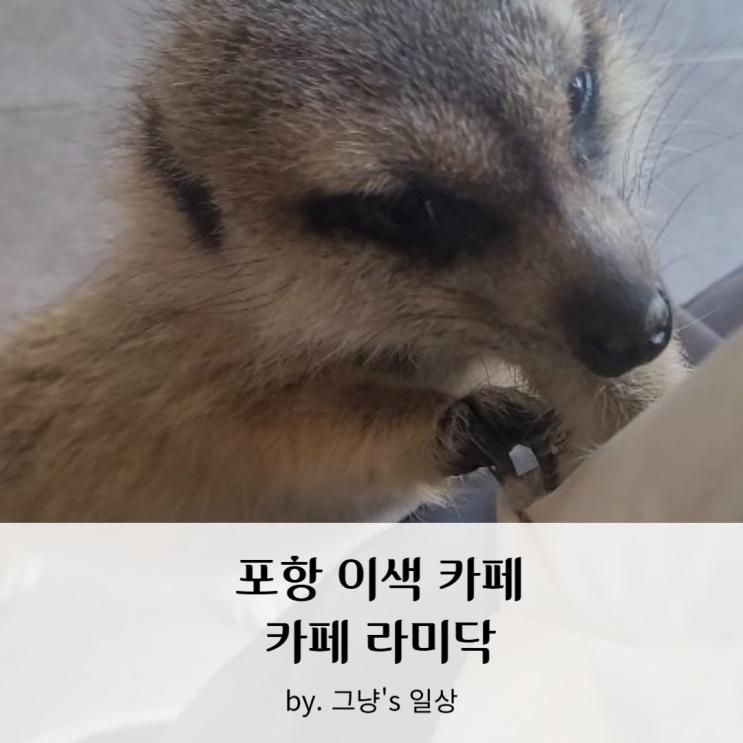 포항 미어캣 카페_카페 라미닥 이색 데이트 추천