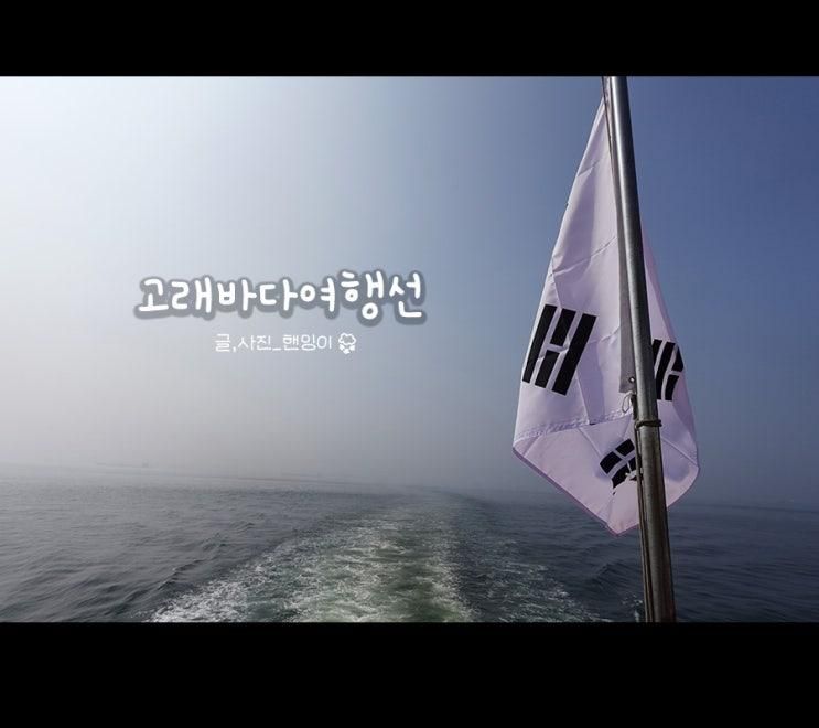 울산 관광지 고래보러 장생포 고래바다여행선 예약 후기