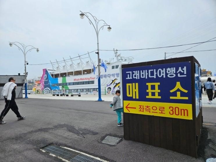 [울산/남구]내돈내산 울산 아이들과 가볼만한 고래바다여행선