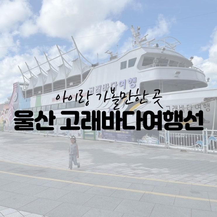 울산 아이랑 고래탐사 장생포 고래바다여행선