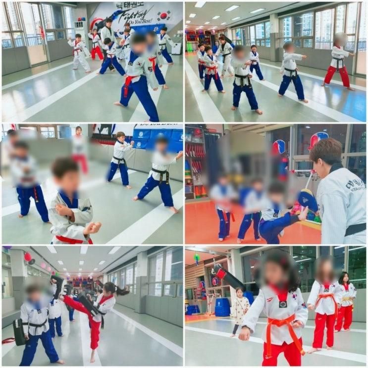 초전 힐스테이트상가 3층 맥태권도