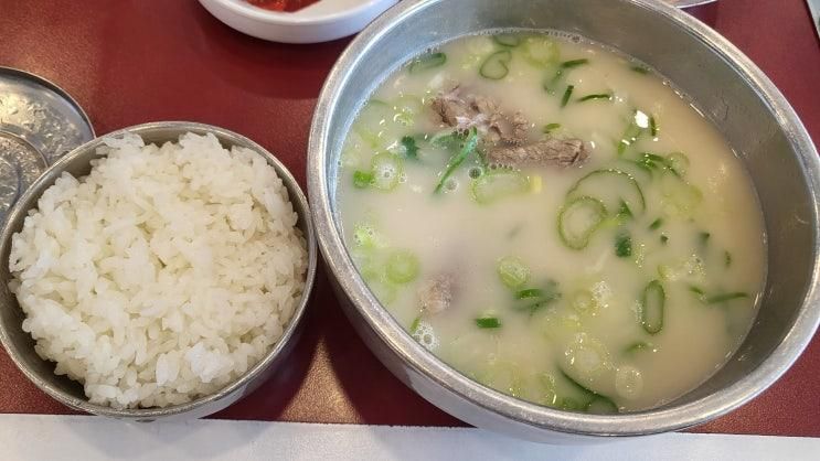 점심메뉴 실패할 수 없는 설농탕 갈비탕 명가원설농탕 덕이점
