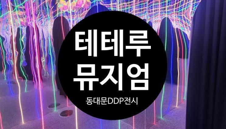 동대문 디디피 아기랑 볼만한 전시회 테테루뮤지엄 솔직후기