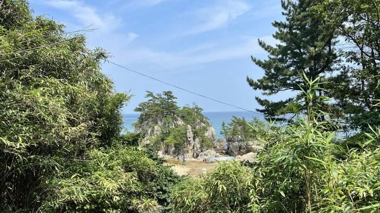 아기와 함께한 삼척 부남해수욕장