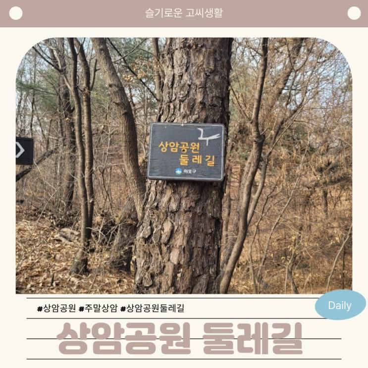 마포구 상암공원 둘레길 상암동 산책