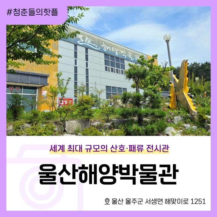 울산 아이랑 갈만한곳 울산해양박물관 세계 최대 규모의 산호...