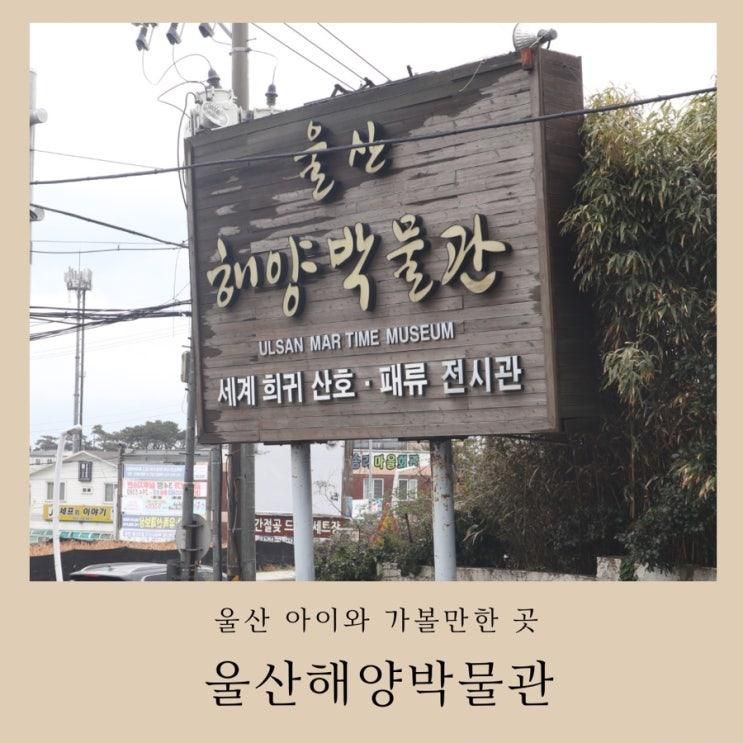 울산 해양박물관 간절곶 여행 아이와 가볼만한 곳
