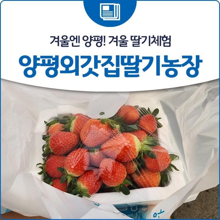 겨울엔 양평! 겨울 딸기체험 '양평외갓집딸기농장'
