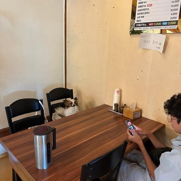 양평 강아지동반식당 “오늘” 돈까스 후기