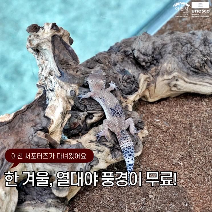 이천 열대식물과 열대어류 만나는 실내 놀이터 이천시 환경학습관