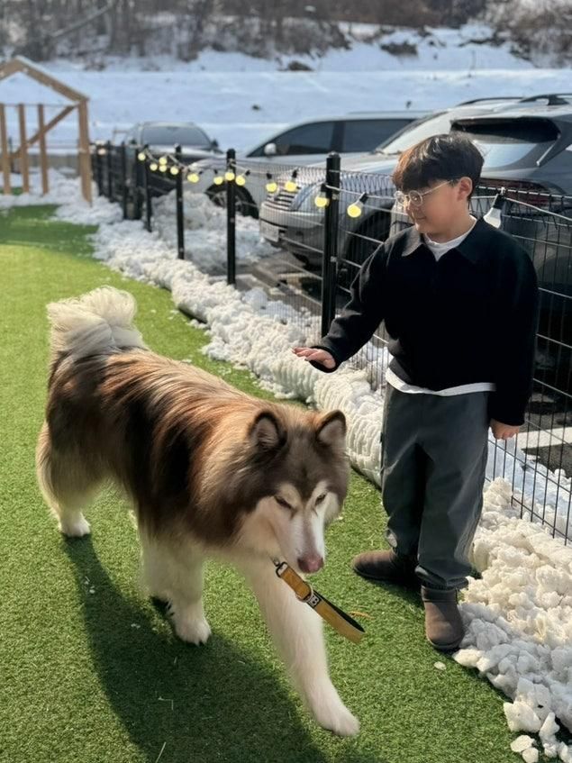 동물체험 가능한 평택키즈카페 애니멀클럽