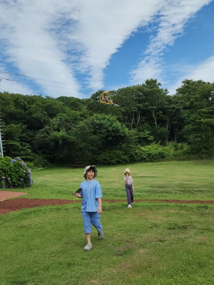 제주 에코랜드 테마파크 소요시간 스카이바이크 제주도 기차여행