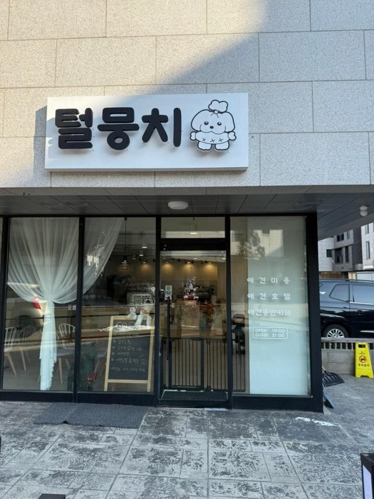 잘 되어있는 강아지에 진심인 운정가람마을"털뭉치"애견카페 후기