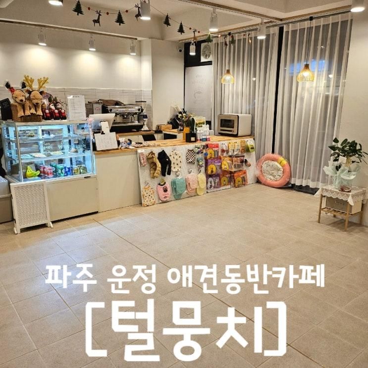 파주 운정 애견동반카페 가람마을 털뭉치