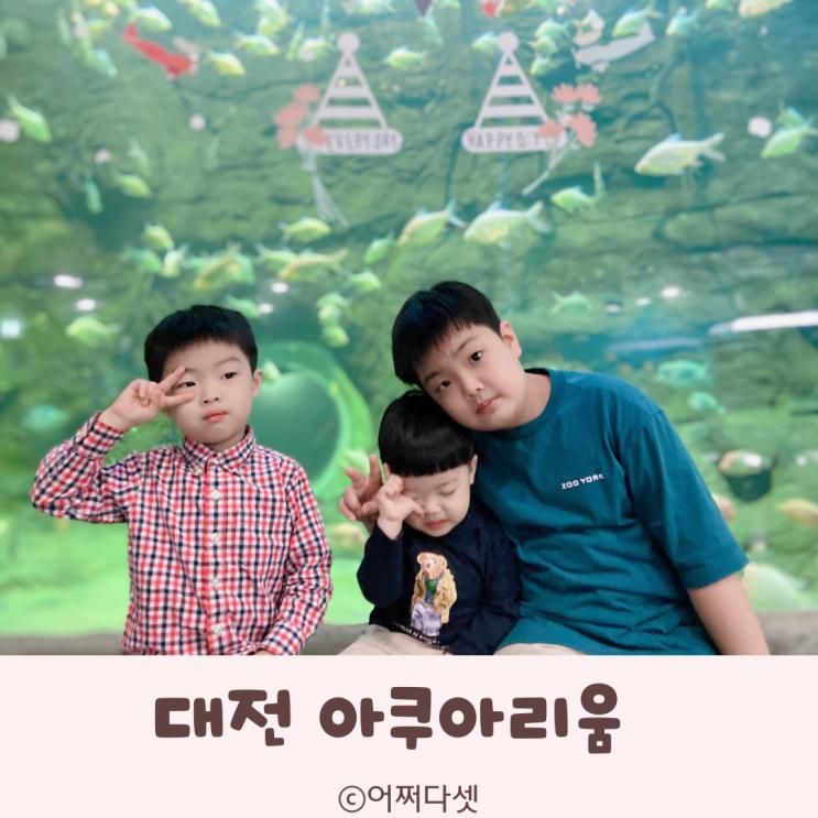 대전 아쿠아리움 실내 동물원 아이랑 다녀오기