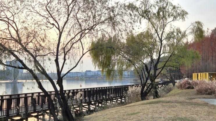 화성 동탄호수공원 동탄 레이크꼬모 주차 카페 테라로사 메뉴