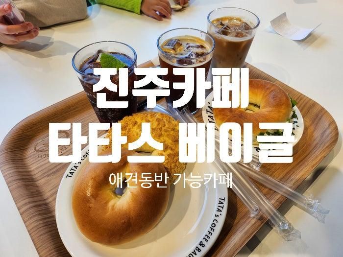 [타타스베이글 진주점] 초전동 대형 카페 후기 애견동반 가능한 곳