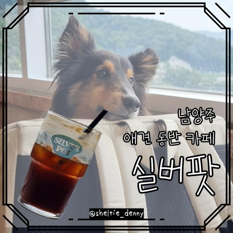 남양주 애견동반 카페 실버팟  + 오남저수지 오남호수공원...
