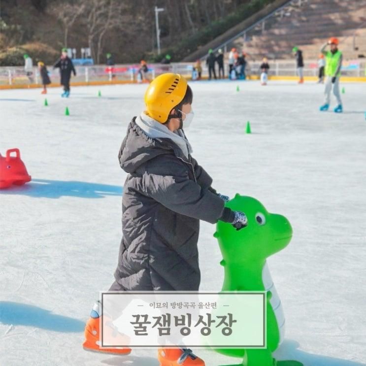 울산 꿀잼빙상장 스케이트 눈썰매장 부산 근교 아이와 가볼만한곳