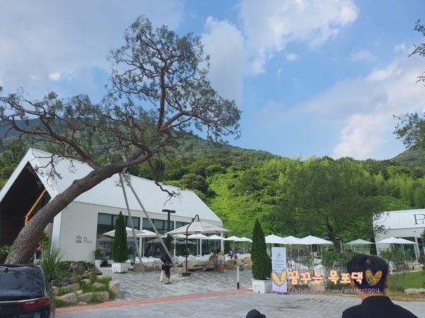 광주근교 아이랑 가기 좋은 화순 카페 파인40 동물도 있어요!