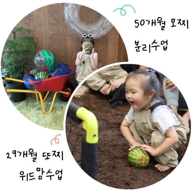 대전 아기랑 체험 가볼만한곳 고마워토토 대전점 분리수업...