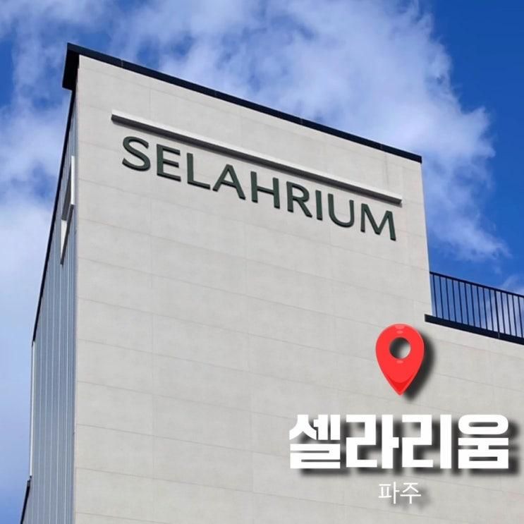 파주 | 셀라리움 | 단체로 가기 좋은 신상 대형카페