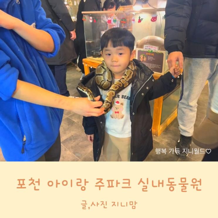 포천 아이랑 주파크 실내동물원 먹이 체험