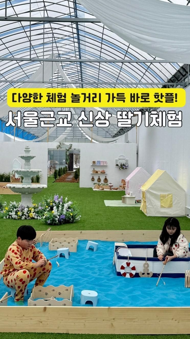 경기 포천 다양한 체험과 놀거리 가득 신상 딸기 농장 몽글몽글팜