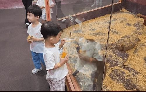 용인 기흥AK 아이와 가볼만한곳 하이브패밀리테마파크 후기...