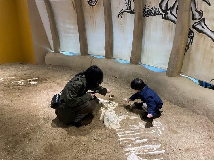 다이노 베이 (DINO BAY) 시즌3 공룡 키즈카페 공룡 화석 발굴...
