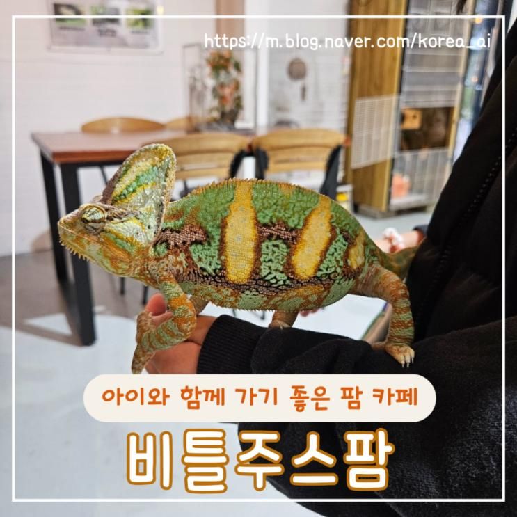 아이와 함께 가기 좋은 파충류 카페 체험농장 비틀주스팜
