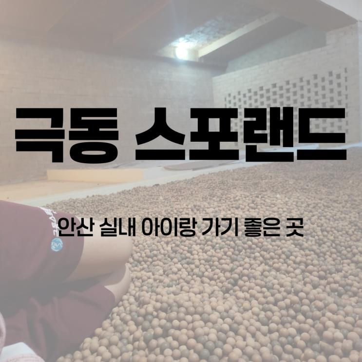 안산 극동 스포랜드 찜질방 키즈시설 설연휴 이용후기