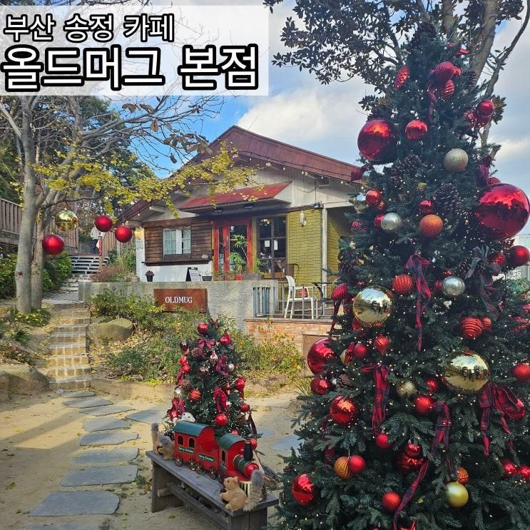 부산 송정 카페 겨울 분위기 가득했던 올드머그 송정본점