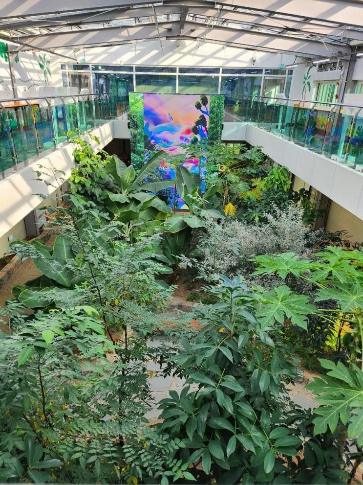 겨울방학 아이와 갈만한 곳 안성환경교육센터 관람 후기 및...