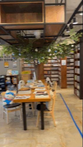 압구정보드게임 만화카페 강남 실내데이트 놀숲 압구정역점
