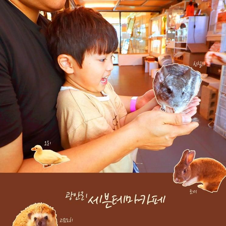 동물원 광안리 오션뷰와 사랑스런 작은 동물들, '세븐테마카페'