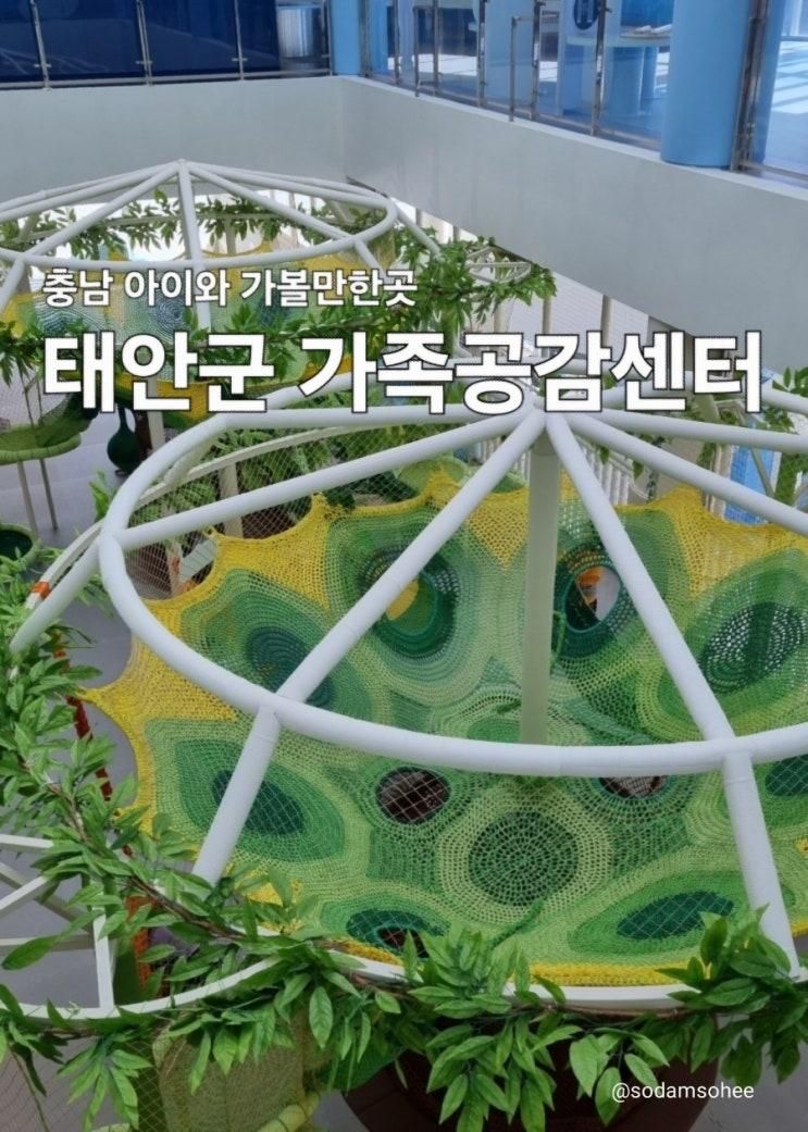 태안군 가족공감센터 충남 아이랑 가볼만한곳 실내놀이터...