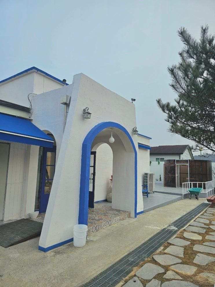 세종시 핫플 팬션 단체모임 하기좋은곳 온수풀 스페이스힐