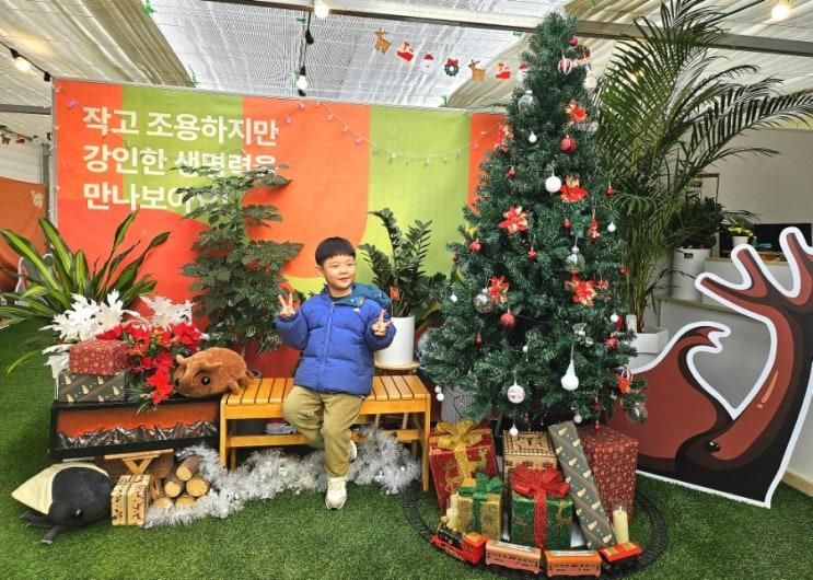 [충남 홍성군]홍성 아이와 가볼만한곳 '위드벅스'/ 곤충,파충류...