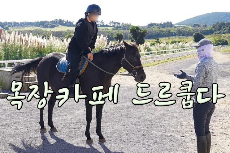 제주 말타기 체험 제주도 드르쿰다 목장카페 <쿰다패스>