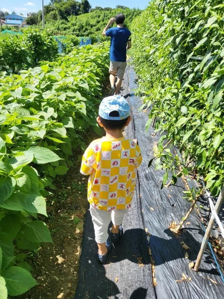 파주 문산 맛집 - 임진각 화로구이에서 가족 식사 후 부모님...