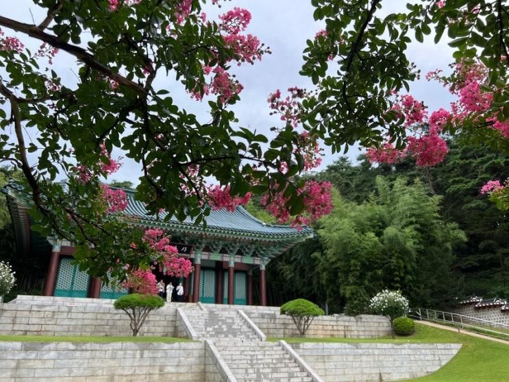 [아산] 현충사 충무공이순신기념관 / 배롱나무가 예쁜 아산...