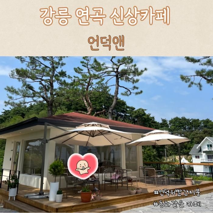 강릉 연곡 신상카페, 언덕앤 동화 속 작은집 같아요