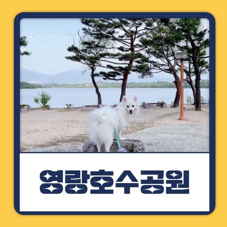 속초 영랑호수공원 느긋하게 강아지와 산책하기 좋은 곳