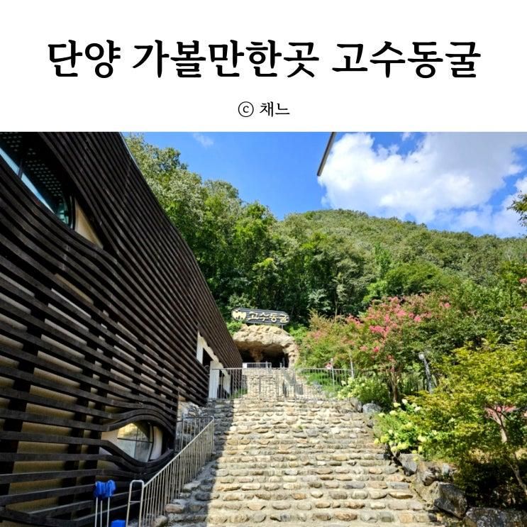 단양 아이와 가볼만한 곳 : 고수동굴 탐험