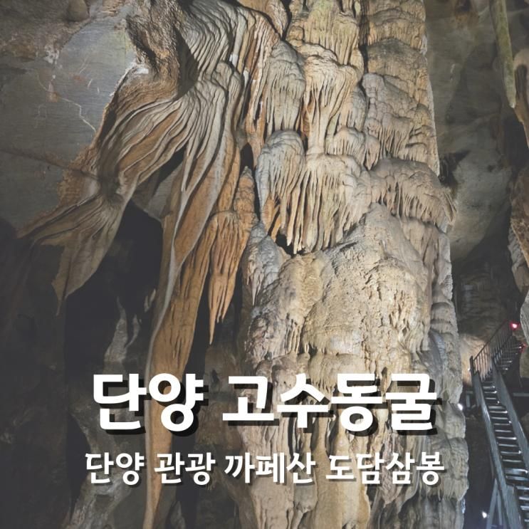 단양 아이와 가볼만한곳 고수동굴 도담삼봉 카페산