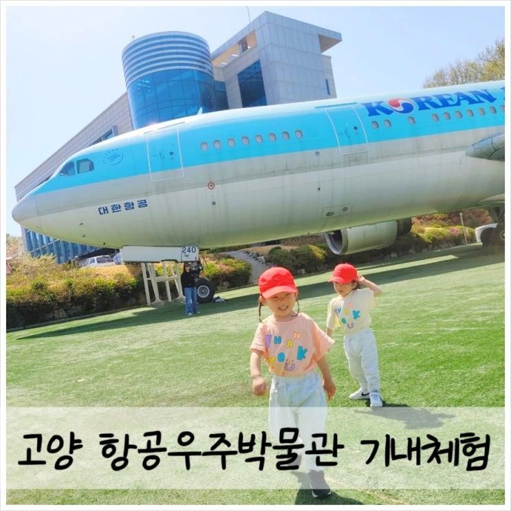 고양 항공대 항공우주박물관 A300 비행기체험 아이랑...