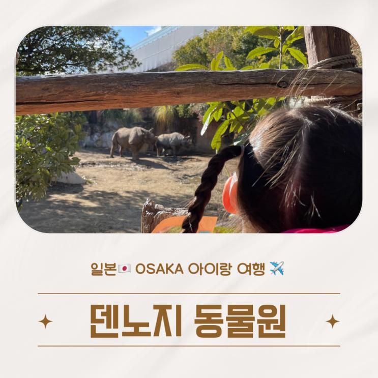 [ 아이랑 단둘이 여행 ] 일본 오사카 덴노지 동물원